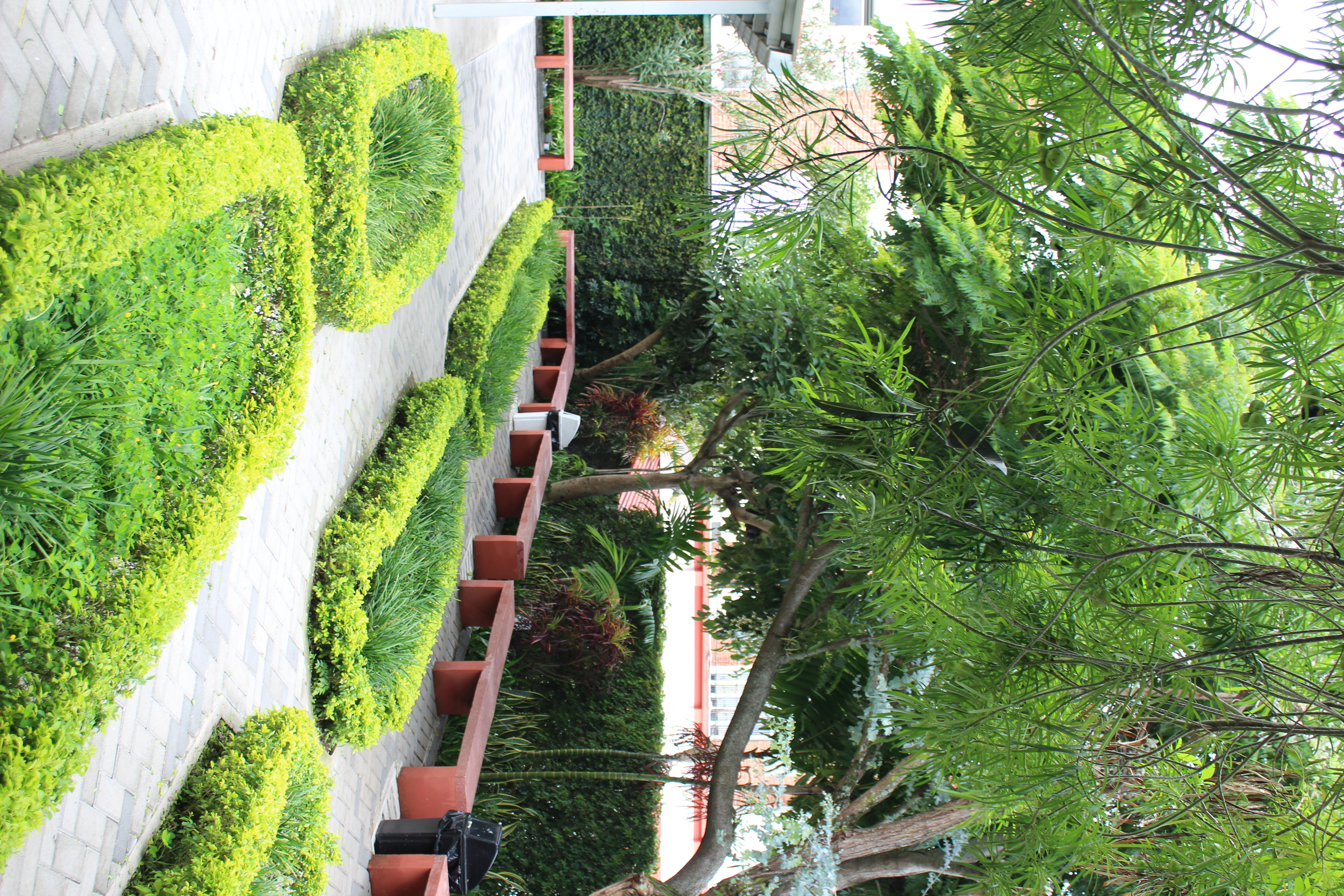 Instalaciones CEDAPRI